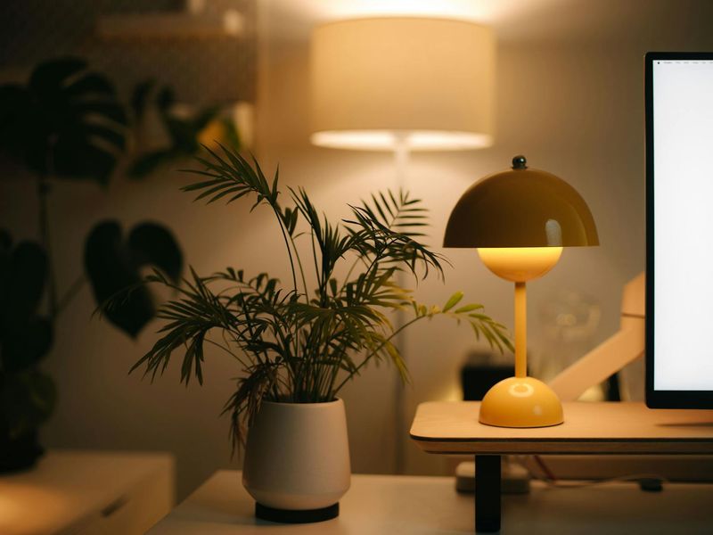 Minimalist desk setup with green plants and soft light.