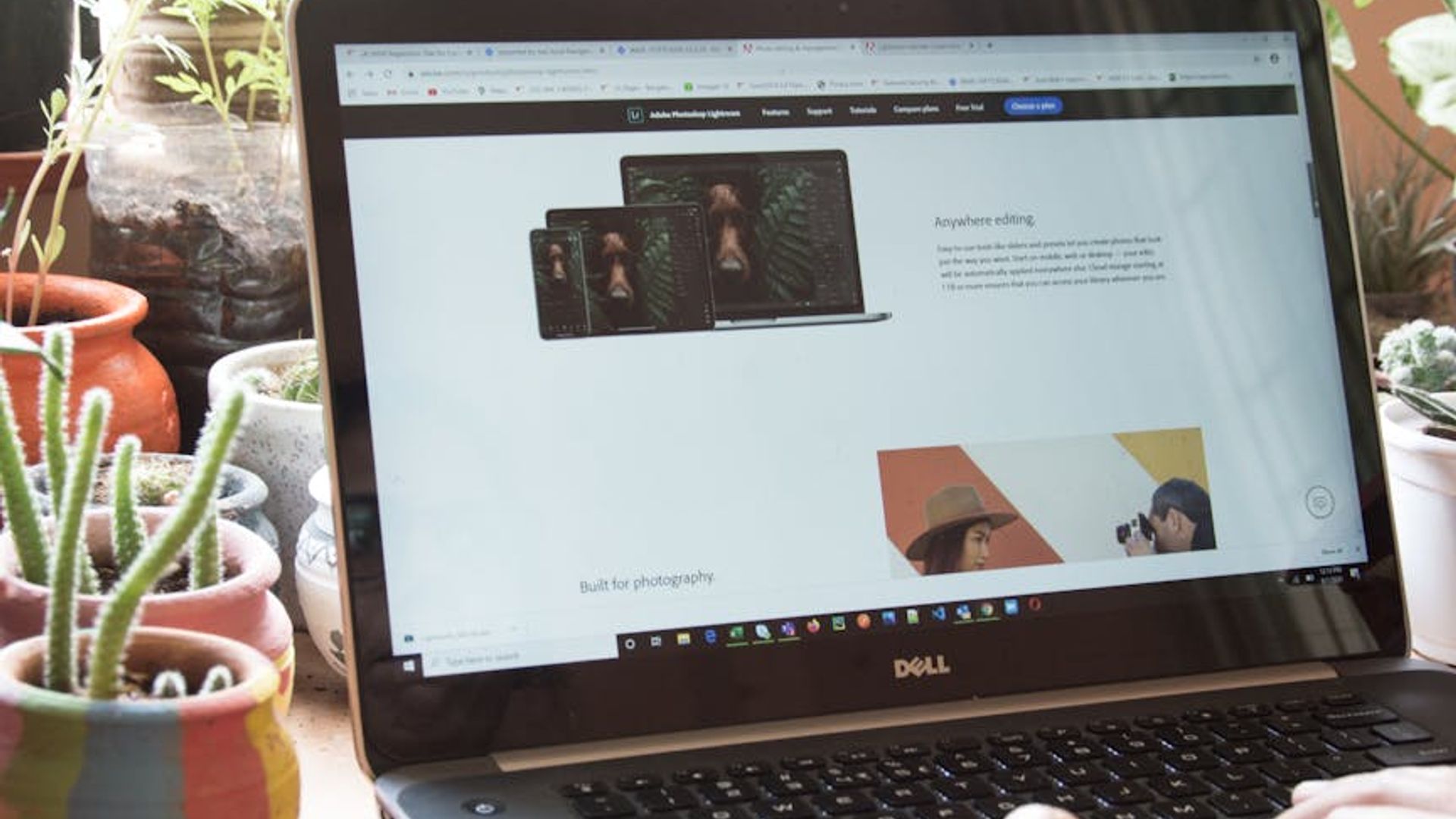 Person working calmly at a desk with natural lighting.